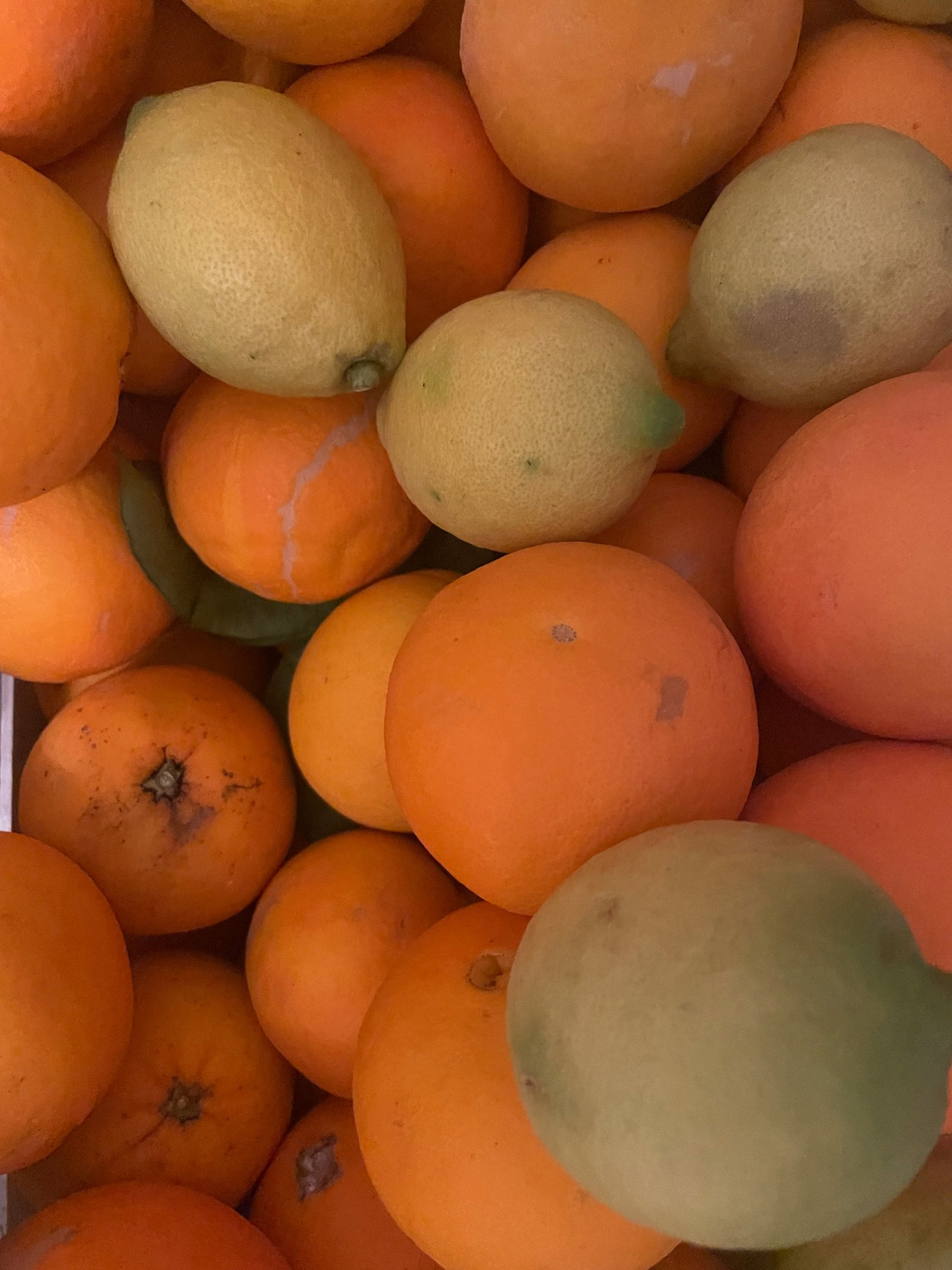 a pile of oranges and lemons sitting next to each other